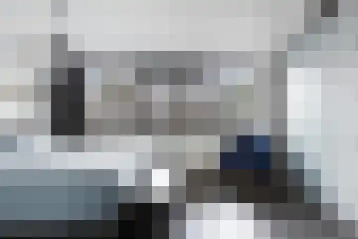 Zeggegors 50 Mijnsheerenland thumbnail 17