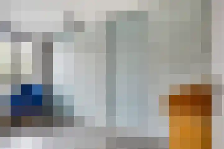 Zeggegors 50 Mijnsheerenland thumbnail 18
