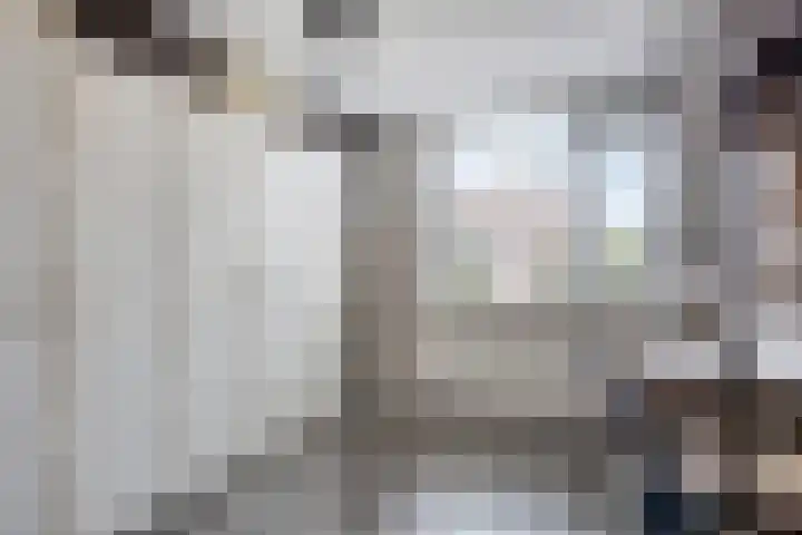 Zeggegors 50 Mijnsheerenland thumbnail 19