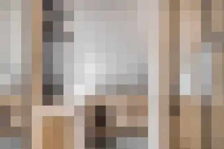 Zeggegors 50 Mijnsheerenland thumbnail 21