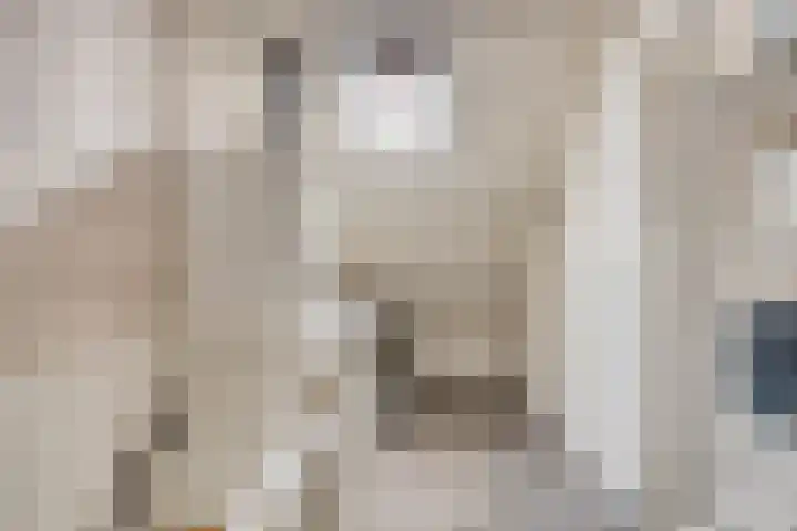 Zeggegors 50 Mijnsheerenland thumbnail 24