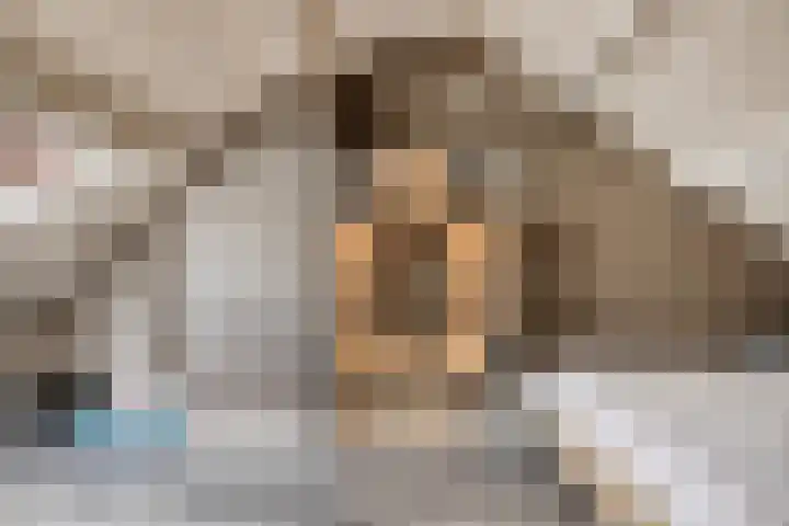 Zeggegors 50 Mijnsheerenland thumbnail 25
