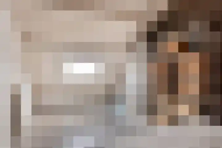 Zeggegors 50 Mijnsheerenland thumbnail 26