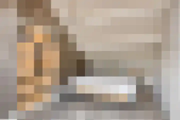 Zeggegors 50 Mijnsheerenland thumbnail 27