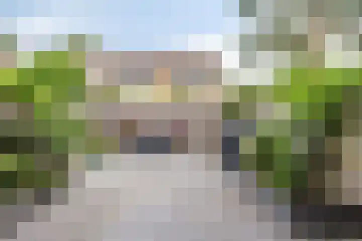 Zeggegors 50 Mijnsheerenland thumbnail 28