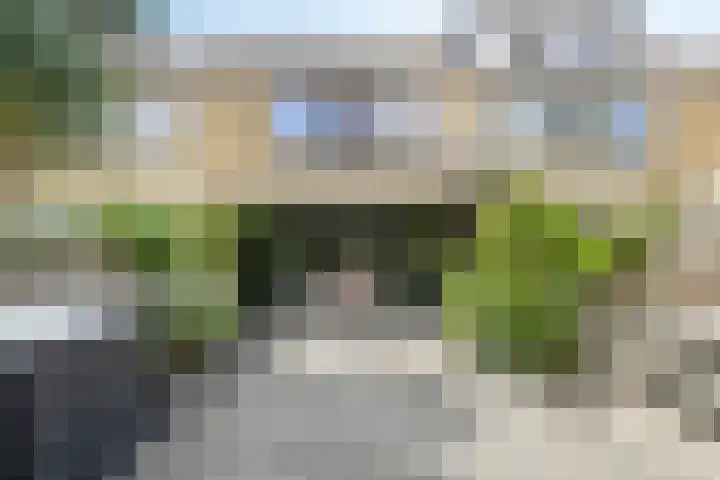 Zeggegors 50 Mijnsheerenland thumbnail 31