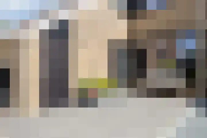Zeggegors 50 Mijnsheerenland thumbnail 33