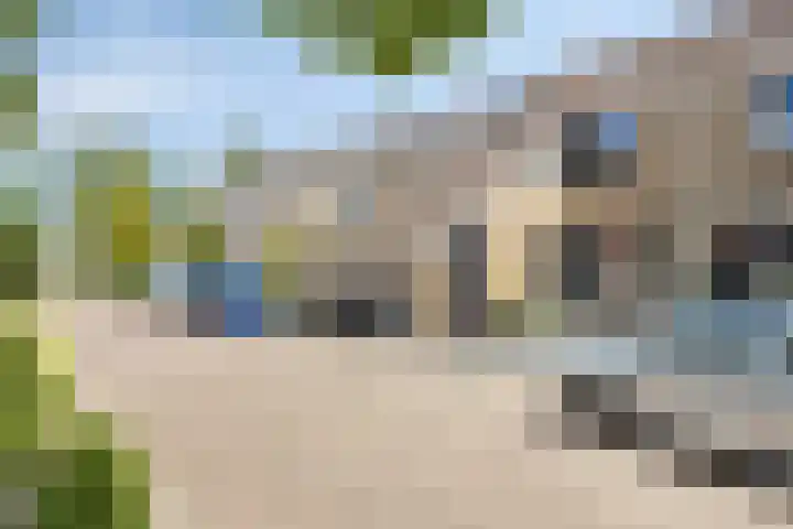 Zeggegors 50 Mijnsheerenland thumbnail 34