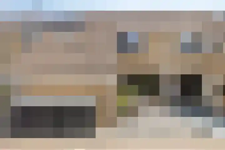 Zeggegors 50 Mijnsheerenland thumbnail 35