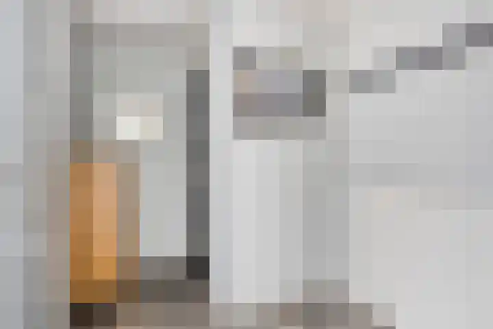 Zeggegors 50 Mijnsheerenland thumbnail 4