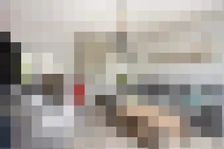 Zeggegors 50 Mijnsheerenland thumbnail 6