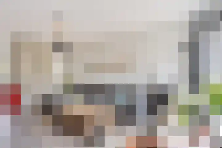 Zeggegors 50 Mijnsheerenland thumbnail 7