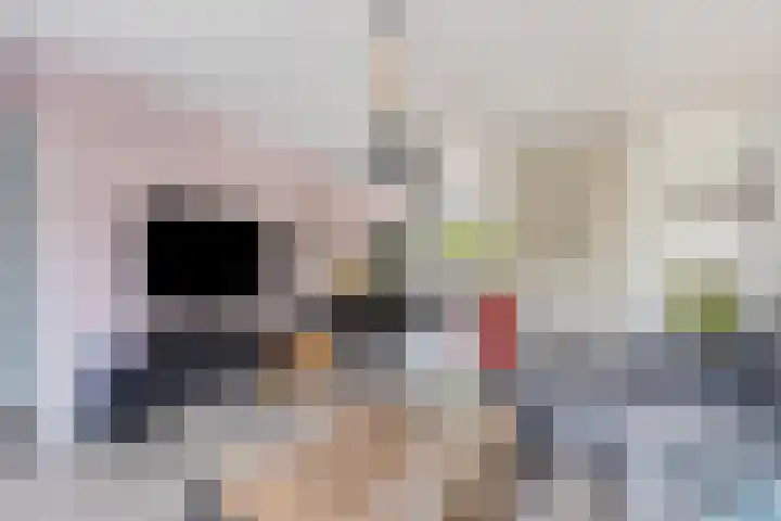 Zeggegors 50 Mijnsheerenland thumbnail 8