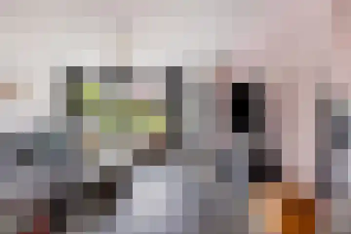 Zeggegors 50 Mijnsheerenland thumbnail 9