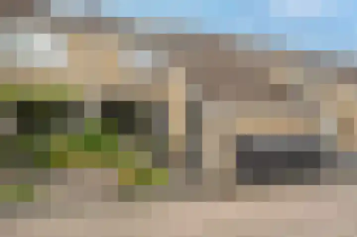 Zeggegors 52 Mijnsheerenland