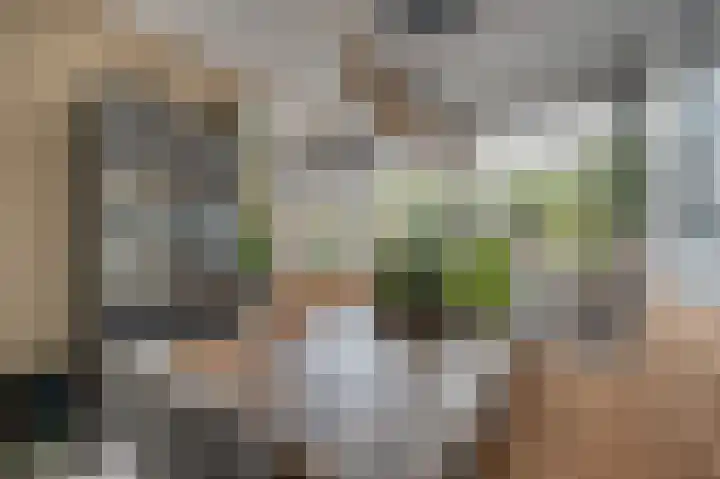 Zeggegors 52 Mijnsheerenland thumbnail 10