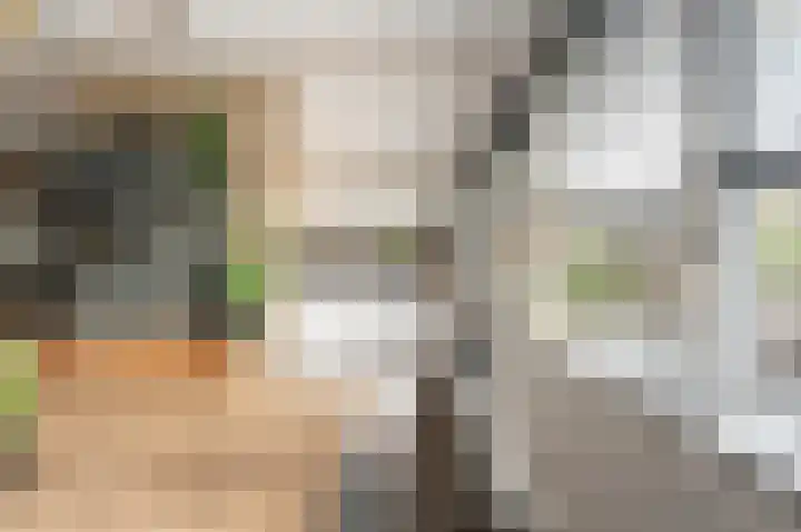 Zeggegors 52 Mijnsheerenland thumbnail 11