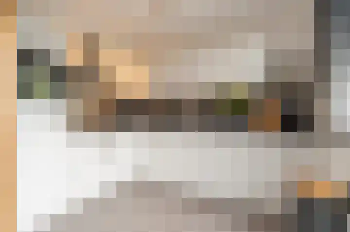 Zeggegors 52 Mijnsheerenland thumbnail 12