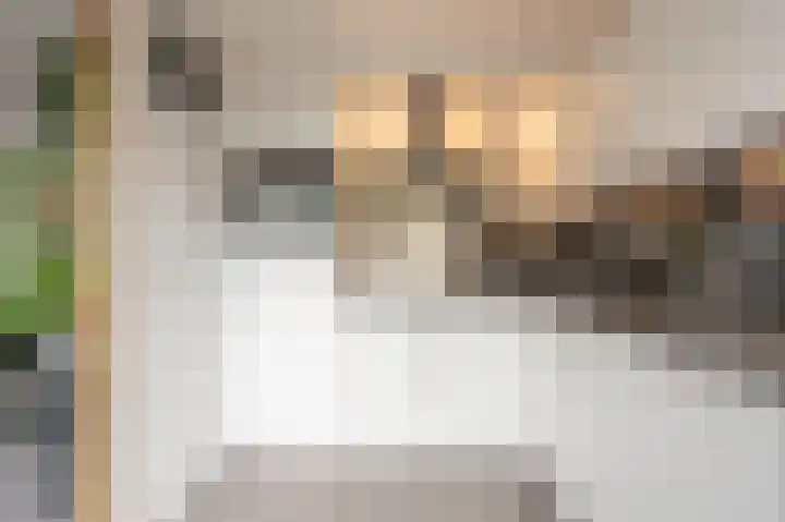 Zeggegors 52 Mijnsheerenland thumbnail 13