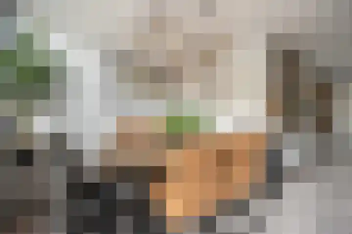 Zeggegors 52 Mijnsheerenland thumbnail 16
