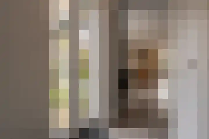 Zeggegors 52 Mijnsheerenland thumbnail 17