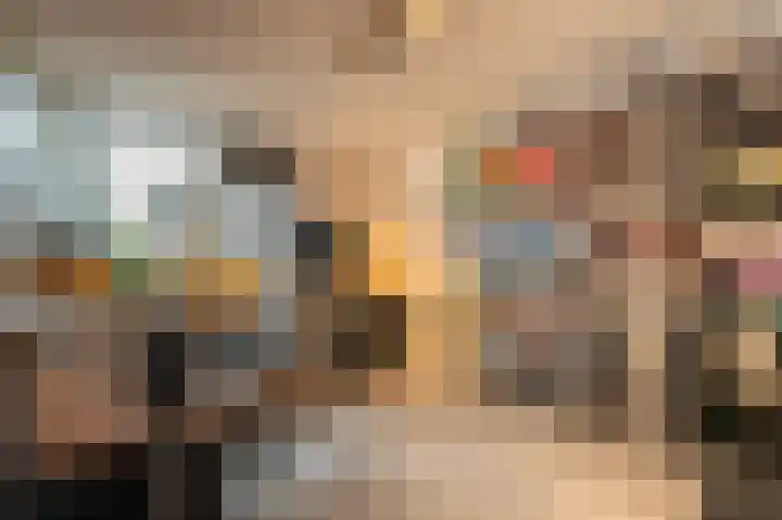 Zeggegors 52 Mijnsheerenland thumbnail 19
