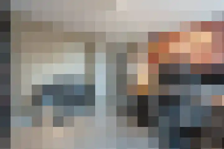 Zeggegors 52 Mijnsheerenland thumbnail 20