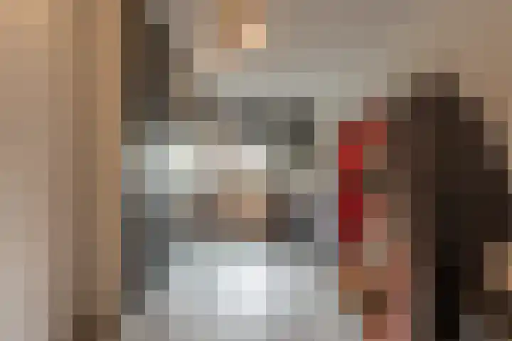 Zeggegors 52 Mijnsheerenland thumbnail 21