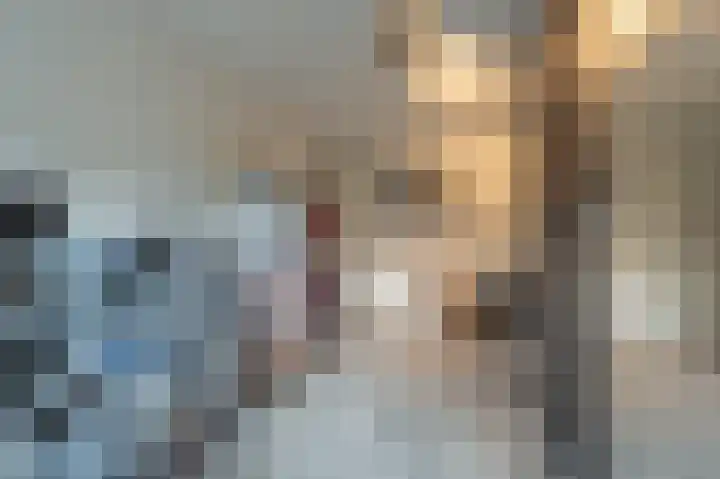 Zeggegors 52 Mijnsheerenland thumbnail 22