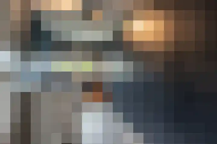 Zeggegors 52 Mijnsheerenland thumbnail 23
