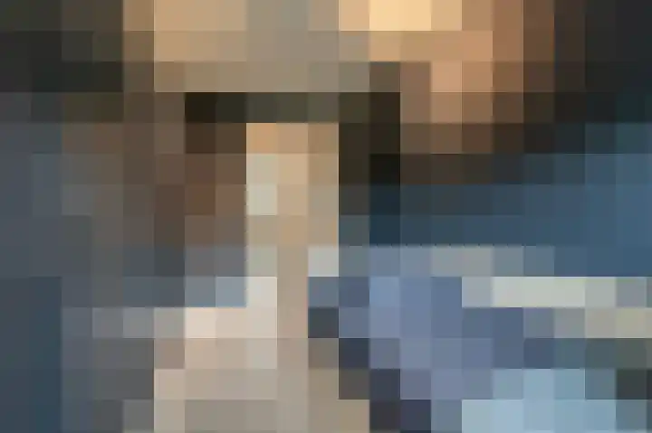 Zeggegors 52 Mijnsheerenland thumbnail 24