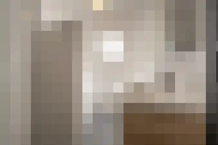 Zeggegors 52 Mijnsheerenland thumbnail 25
