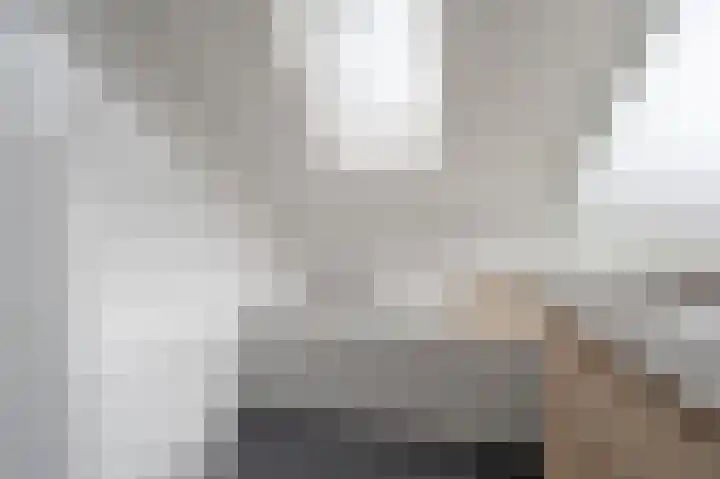 Zeggegors 52 Mijnsheerenland thumbnail 26