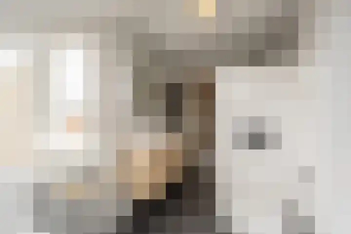 Zeggegors 52 Mijnsheerenland thumbnail 27