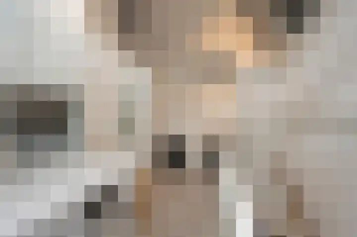 Zeggegors 52 Mijnsheerenland thumbnail 30