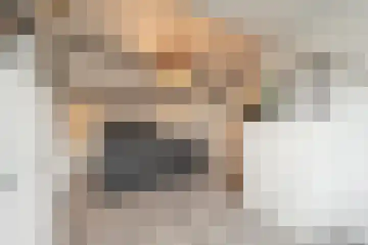 Zeggegors 52 Mijnsheerenland thumbnail 31