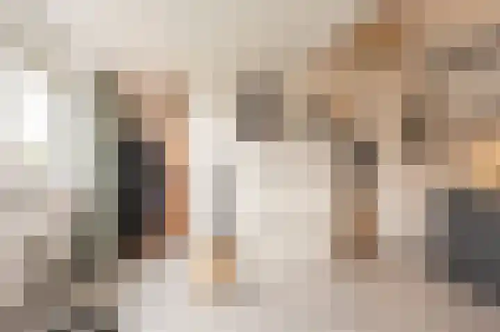 Zeggegors 52 Mijnsheerenland thumbnail 32