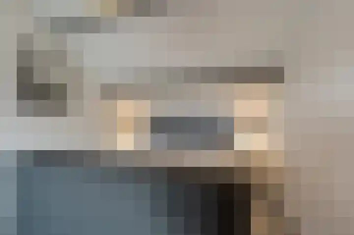 Zeggegors 52 Mijnsheerenland thumbnail 33