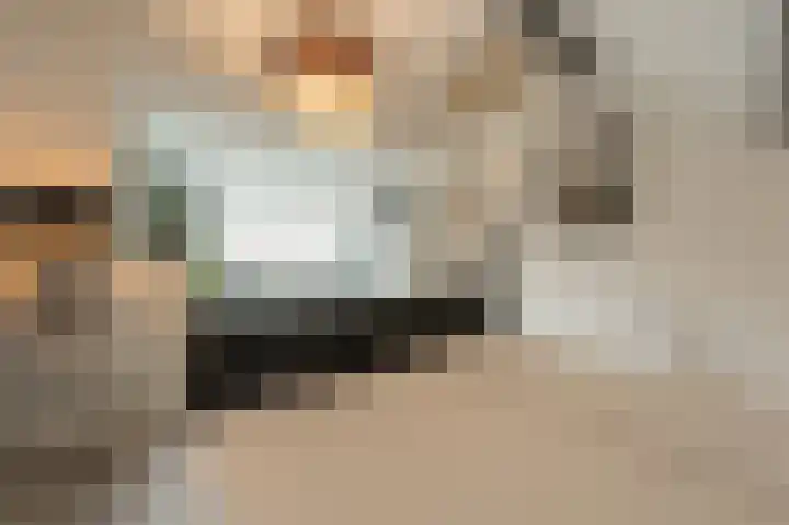 Zeggegors 52 Mijnsheerenland thumbnail 34