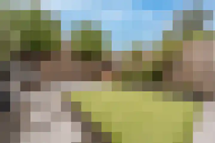 Zeggegors 52 Mijnsheerenland thumbnail 35