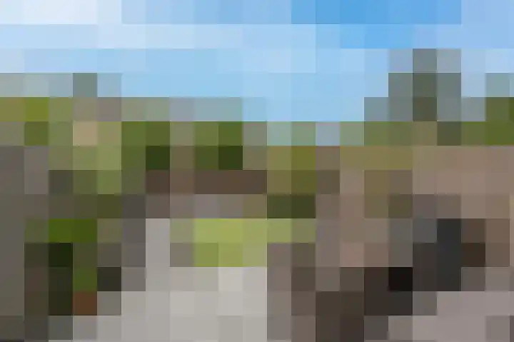 Zeggegors 52 Mijnsheerenland thumbnail 36