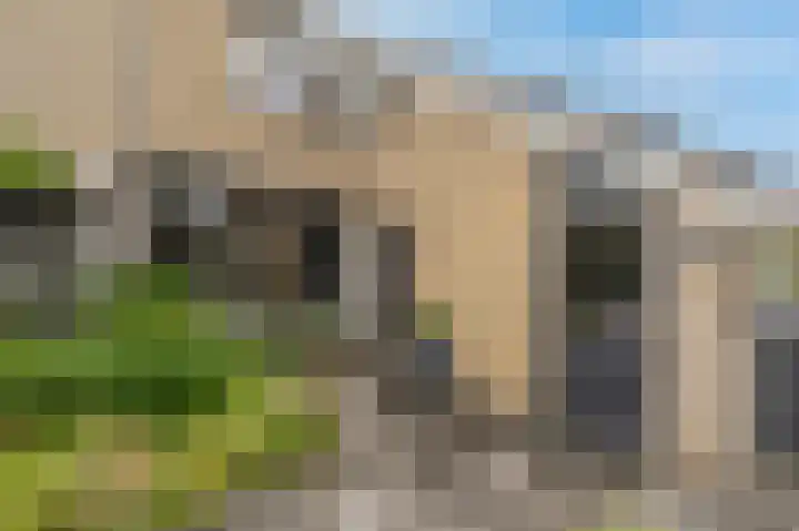Zeggegors 52 Mijnsheerenland thumbnail 37