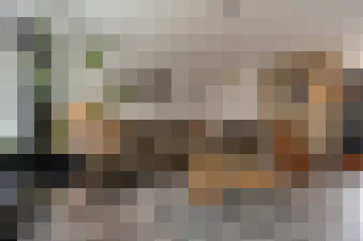 Zeggegors 52 Mijnsheerenland thumbnail 4