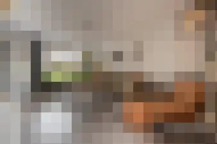 Zeggegors 52 Mijnsheerenland thumbnail 5