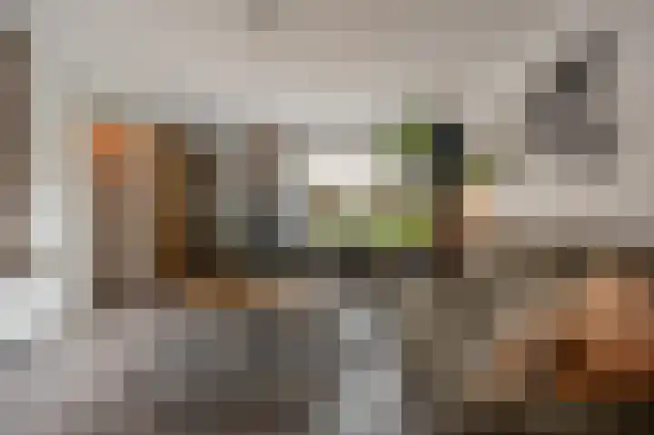 Zeggegors 52 Mijnsheerenland thumbnail 6