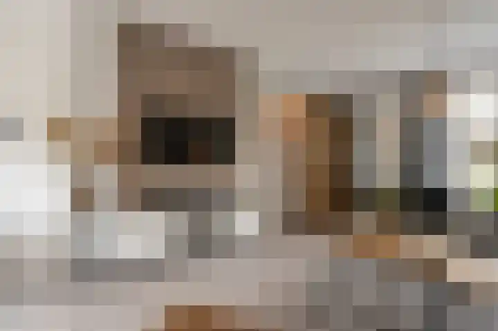Zeggegors 52 Mijnsheerenland thumbnail 7