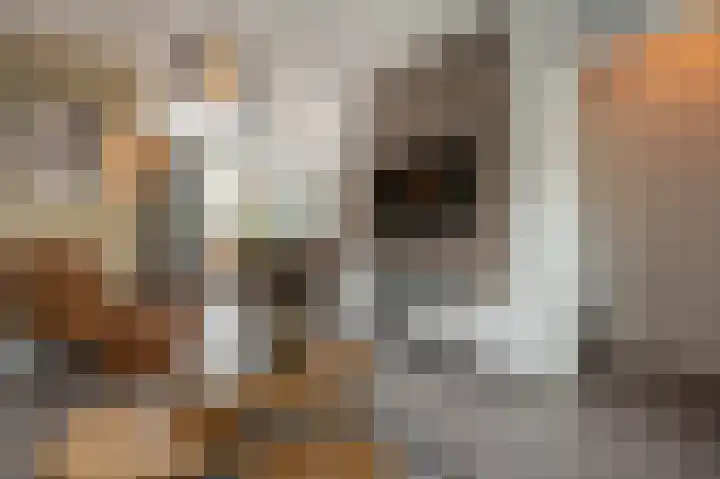 Zeggegors 52 Mijnsheerenland thumbnail 8