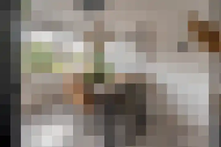 Zeggegors 52 Mijnsheerenland thumbnail 9