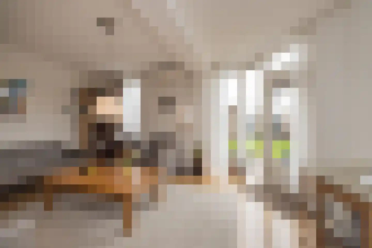 Zeggegrasstraat 33 Lisserbroek thumbnail 10