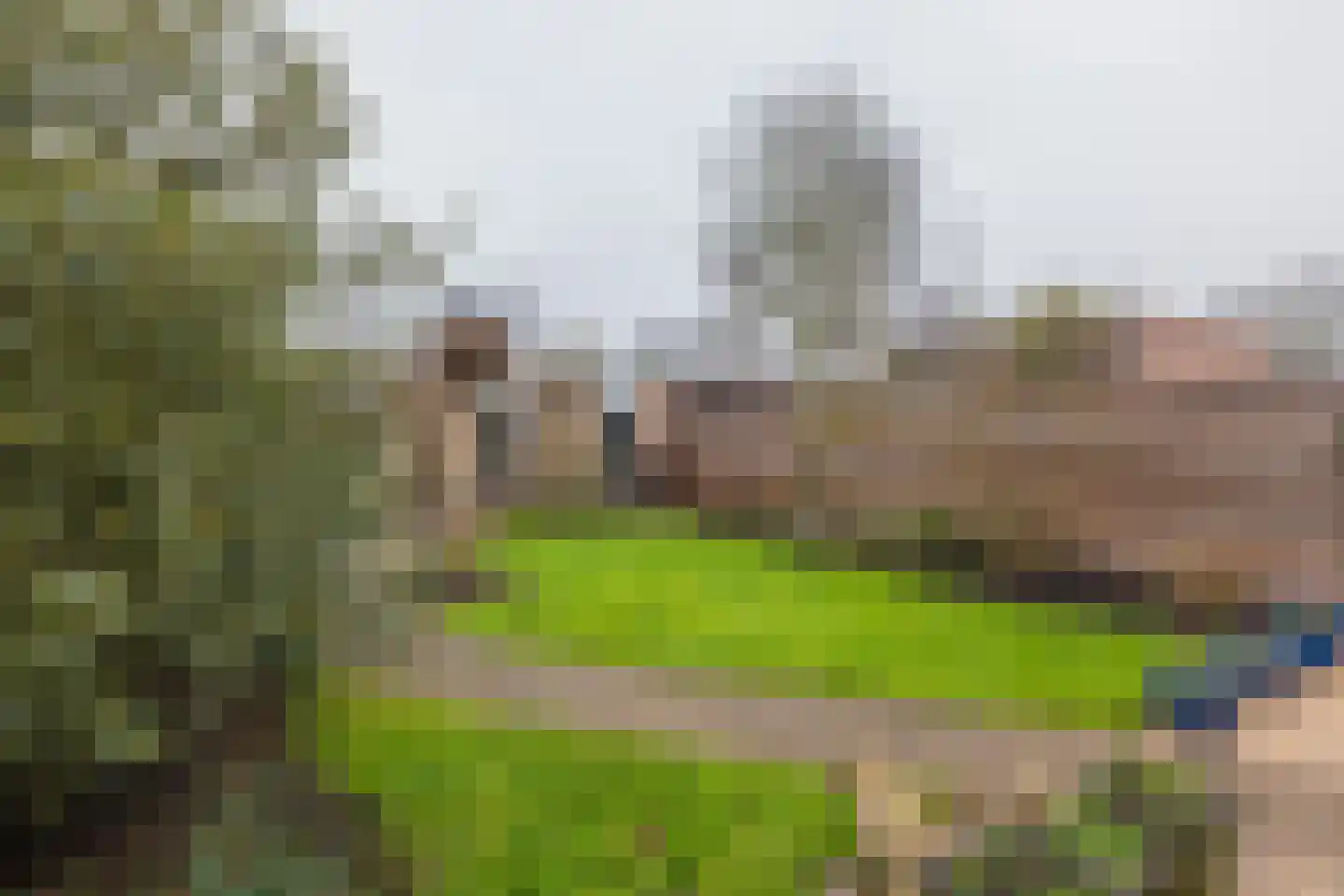 Zeggegrasstraat 33 Lisserbroek thumbnail 11